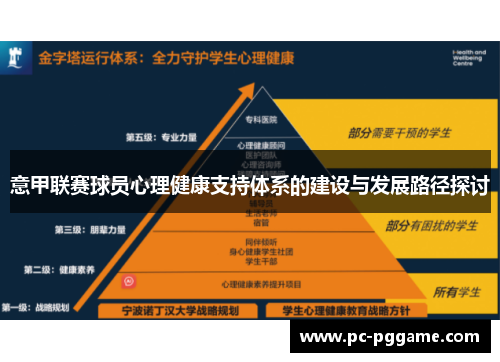 意甲联赛球员心理健康支持体系的建设与发展路径探讨