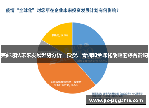 英超球队未来发展趋势分析:投资、青训和全球化战略的综合影响 英超球队未来发展趋势分析:投资、青训和全球化战略的综合影响