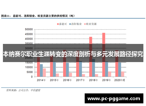 本纳赛尔职业生涯转变的深度剖析与多元发展路径探究