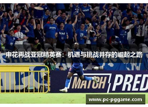 申花再战亚冠精英赛：机遇与挑战并存的崛起之路