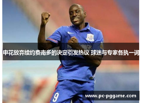 申花放弃续约费南多的决定引发热议 球迷与专家各执一词