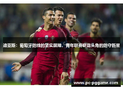 迪亚斯:葡萄牙防线的坚实屏障,青年联赛崭露头角的防守新星 迪亚斯:葡萄牙防线的坚实屏障,青年联赛崭露头角的防守新星