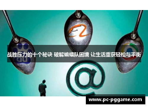 战胜压力的十个秘诀 破解蝙蝠队困境 让生活重获轻松与平衡 战胜压力的十个秘诀 破解蝙蝠队困境 让生活重获轻松与平衡