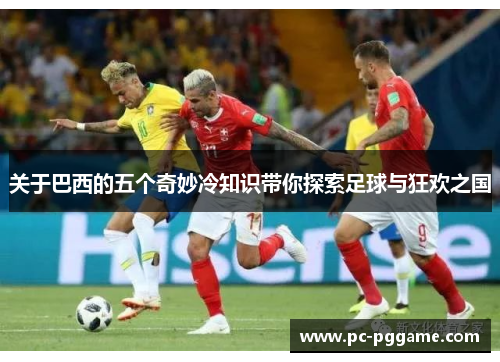 关于巴西的五个奇妙冷知识带你探索足球与狂欢之国 关于巴西的五个奇妙冷知识带你探索足球与狂欢之国