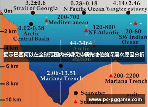 揭示巴西何以在全球范围内长期保持领先地位的深层次原因分析
