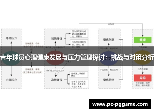 青年球员心理健康发展与压力管理探讨：挑战与对策分析