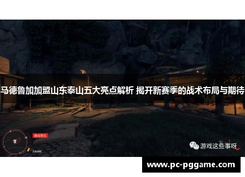 马德鲁加加盟山东泰山五大亮点解析 揭开新赛季的战术布局与期待