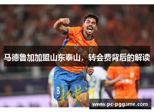 马德鲁加加盟山东泰山,转会费背后的解读 马德鲁加加盟山东泰山,转会费背后的解读