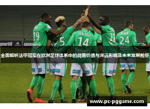 全面解析法甲冠军在欧洲足球体系中的战略价值与深远影响及未来发展前景