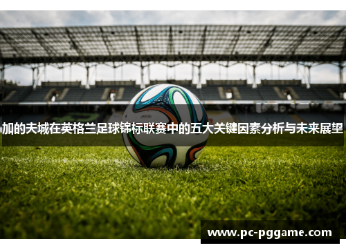 加的夫城在英格兰足球锦标联赛中的五大关键因素分析与未来展望 加的夫城在英格兰足球锦标联赛中的五大关键因素分析与未来展望