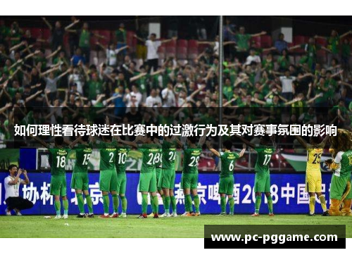 如何理性看待球迷在比赛中的过激行为及其对赛事氛围的影响