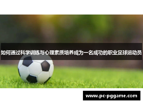 如何通过科学训练与心理素质培养成为一名成功的职业足球运动员