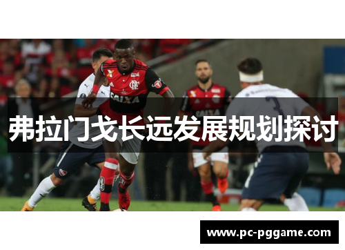 弗拉门戈长远发展规划探讨 弗拉门戈长远发展规划探讨