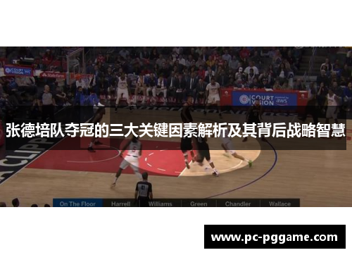张德培队夺冠的三大关键因素解析及其背后战略智慧